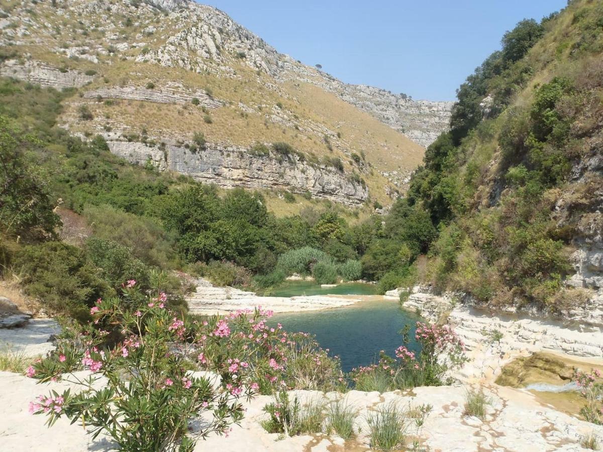 Il Pozzo E L'Ulivo - Just 200 Meters From The Metro - Βίλα Κατάνια Εξωτερικό φωτογραφία